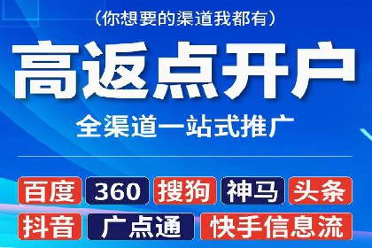 代理开户服务在海外投资中的应用案例